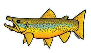Fly Fishing Stickers