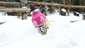 Water Bottle In Snow