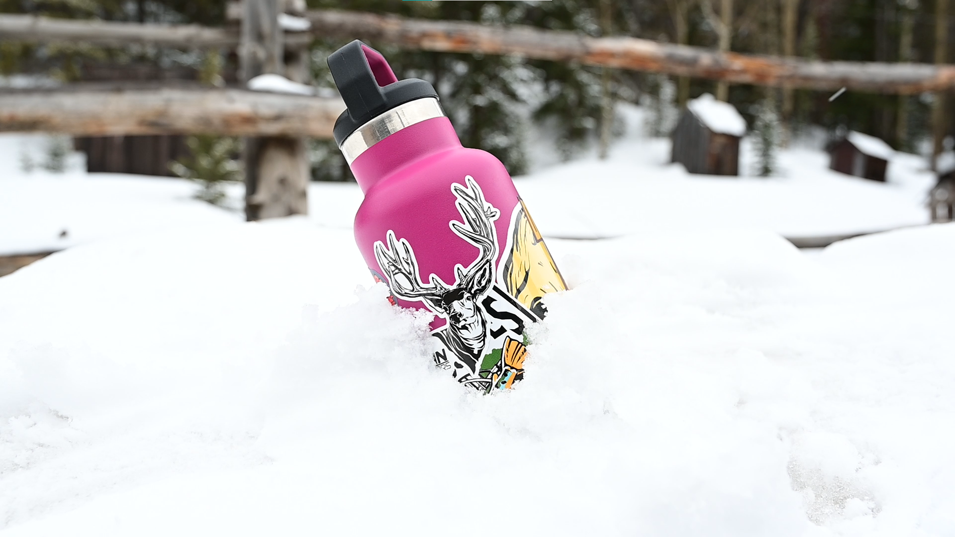 Water Bottle In Snow