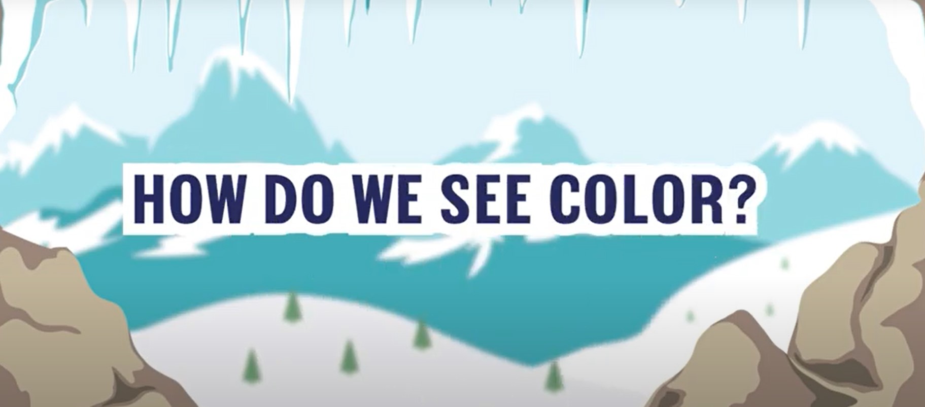 what is color theory
