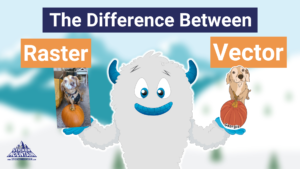 raster vs vector