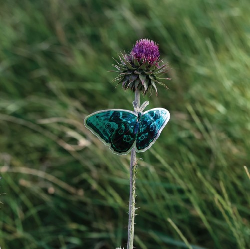 metallic stickers butterfly gloss sticker flower outdoors durable eco friendly environmentally friendly recyclable paper