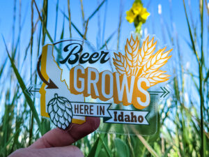 Elevate your brand with our custom clear labels, water- and oil-resistant, and tamper-resistant with value prices, 2-day turnaround, & free shipping.